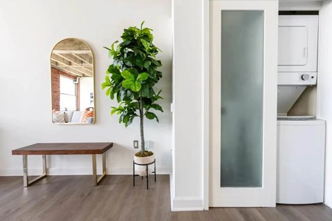 A green plant sits on a stand in a white room.