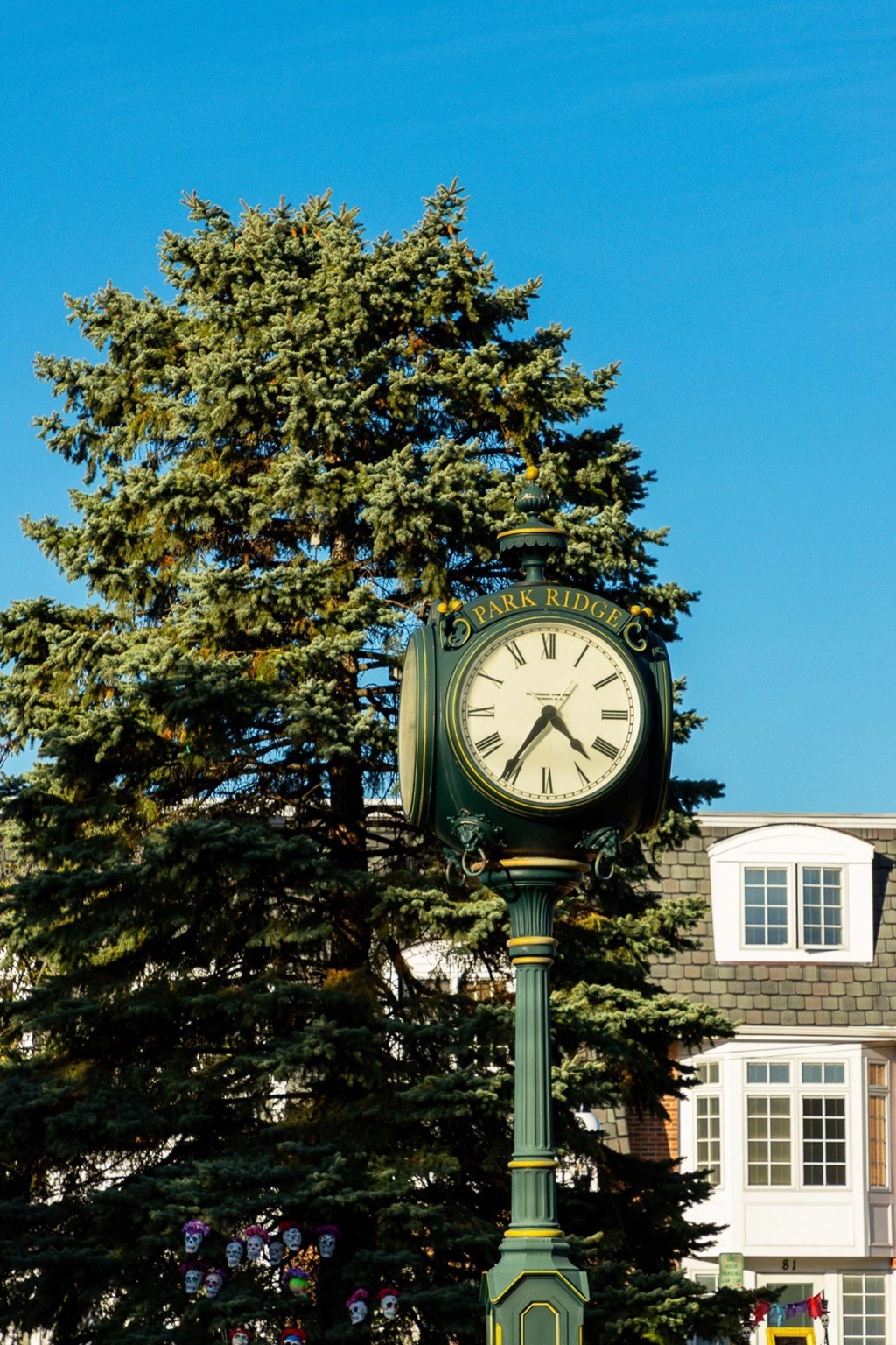 A green clock with Roman numerals stands in front of a tree.