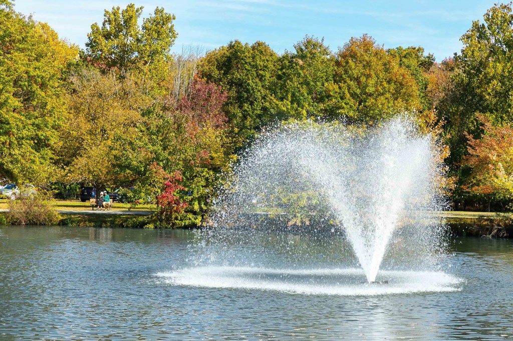 A fountain in the middle of a lake surrounded by trees.