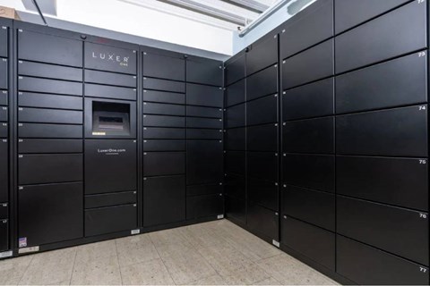 A row of black LUXER server racks are lined up in a room.