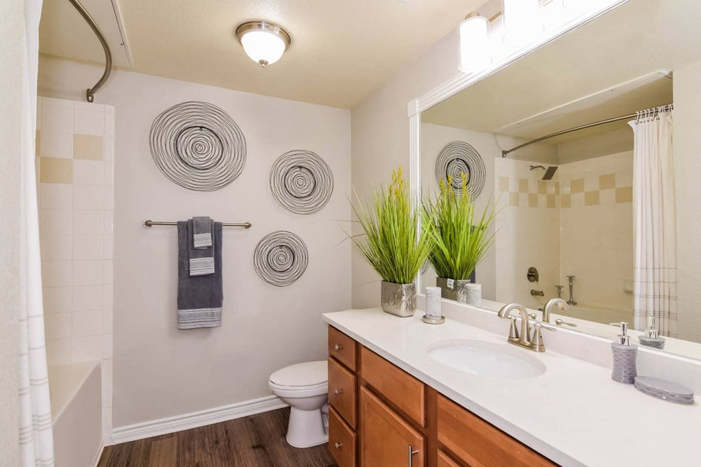 Palm Valley apartments bathroom