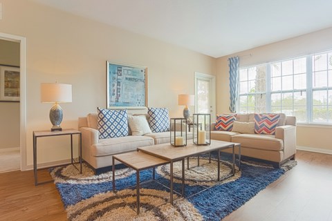 A living room with a white couch, a blue rug, and a painting on the wall.