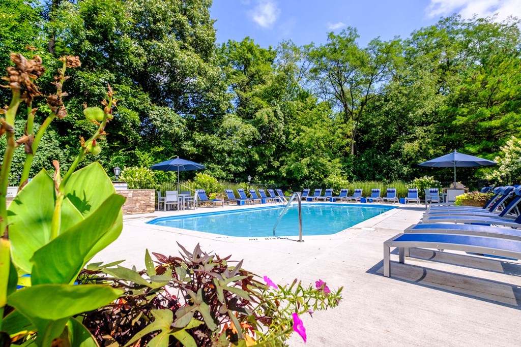 a swimming pool with lounge chairs and umbrellas