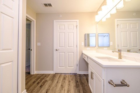 a bathroom with a sink and a mirror