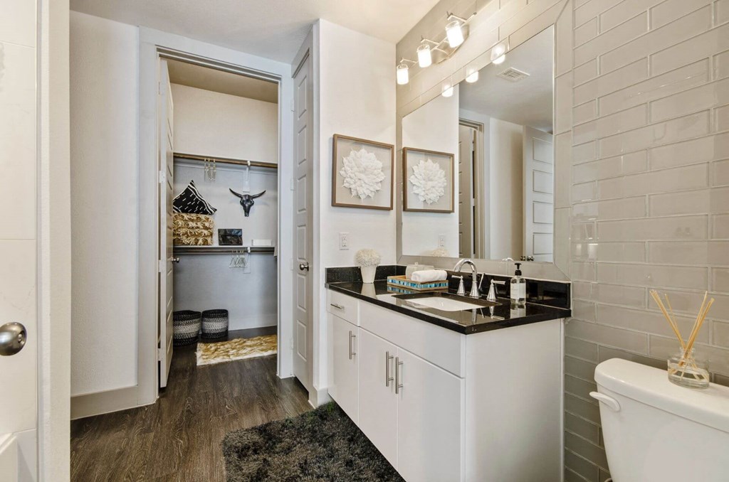 Attached Bathroom interior 1 at The Towers at Bayside, Rowlett, 75088