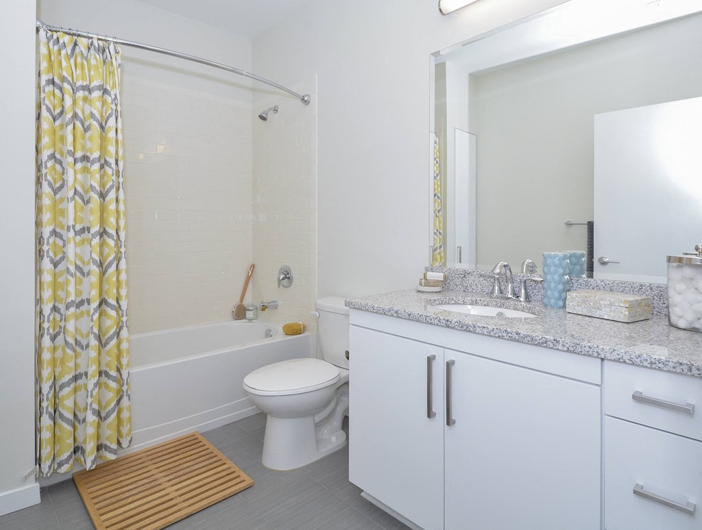 Bathroom with large vanity with mirror above, with toilet and tub/shower to the left