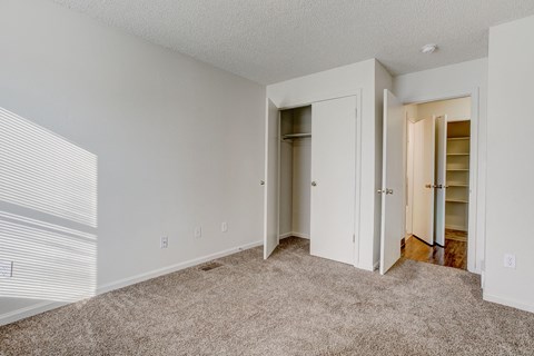 an empty bedroom with a closet and a carpeted floor