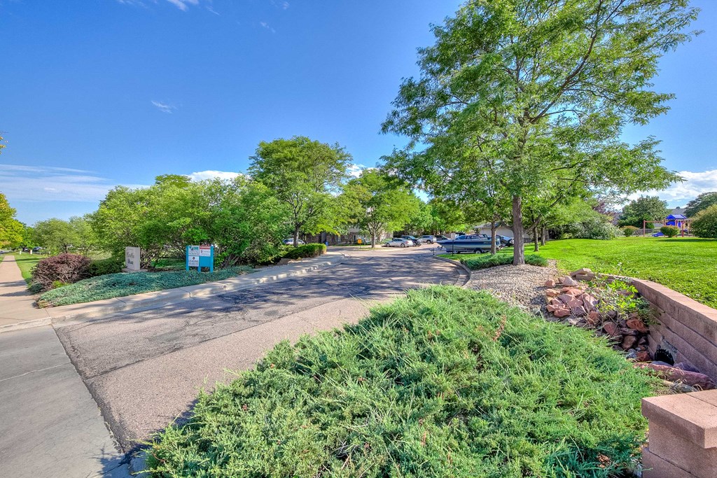a park with green grass and trees and a road