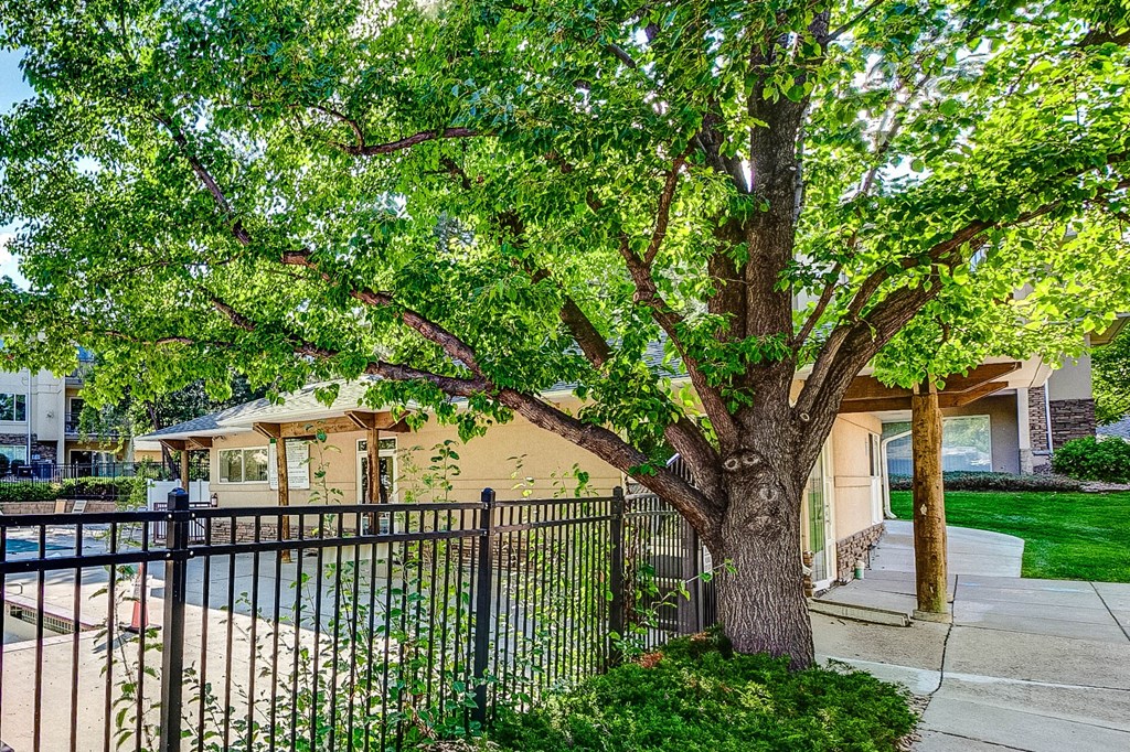 a tree in front of a house behind a black fence