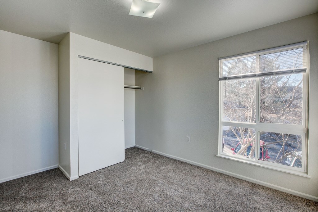 A room with a carpeted floor, a window, and a closet.