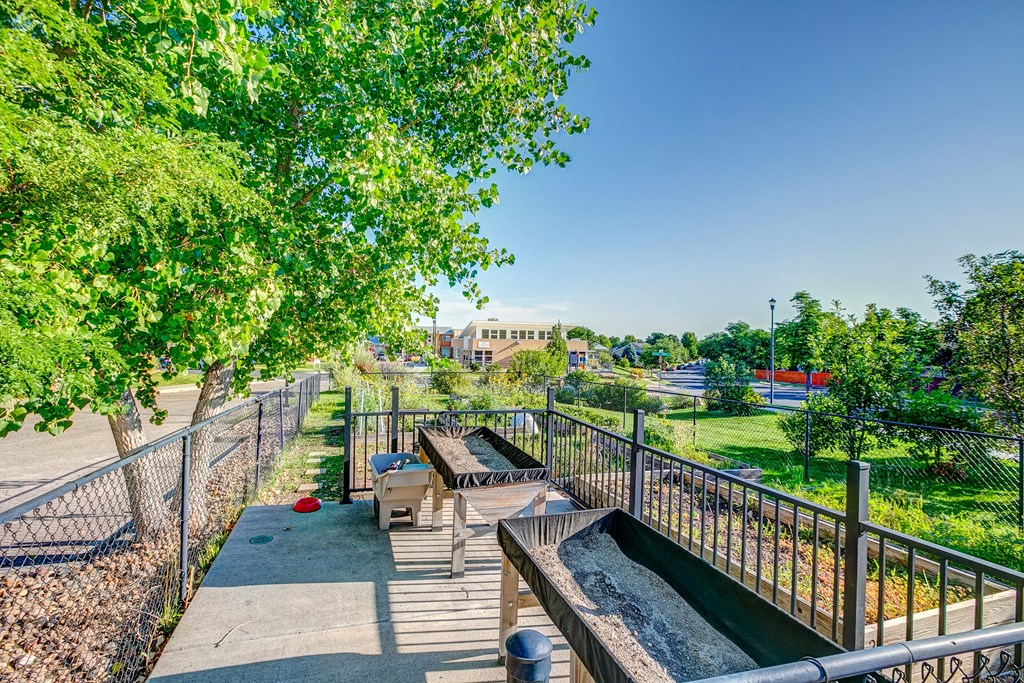 a park with benches and trees and a fountain