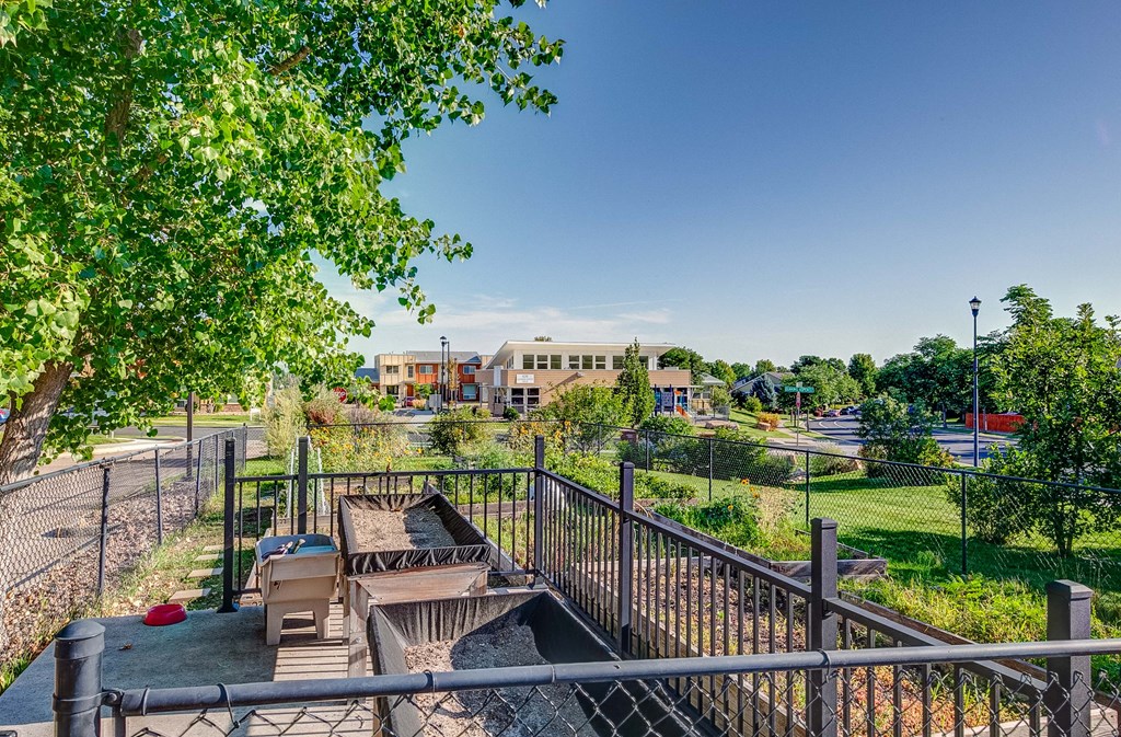 the preserve at ballantyne commons dog park