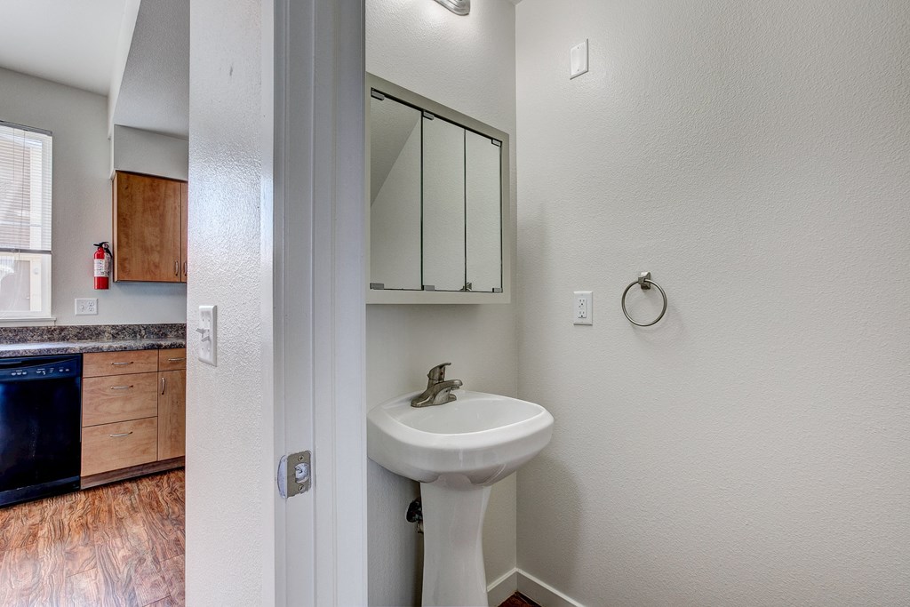 a bathroom with a sink and a mirror