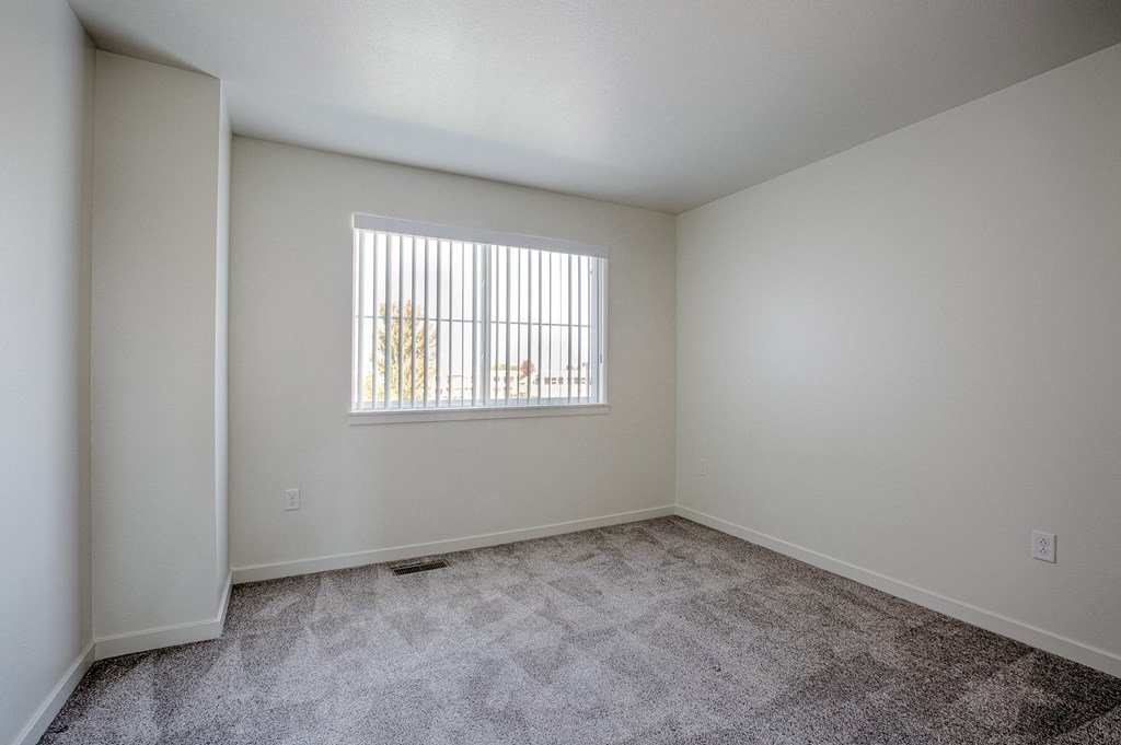 a spacious living room with carpet and a window