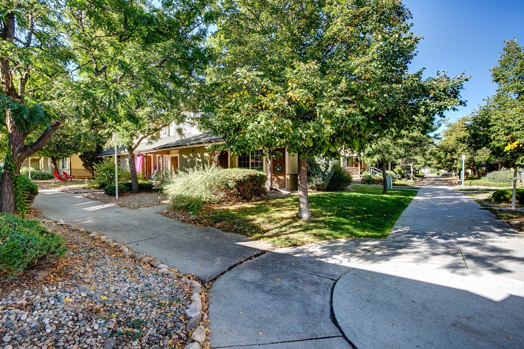 a sidewalk in front of a yellow house with trees