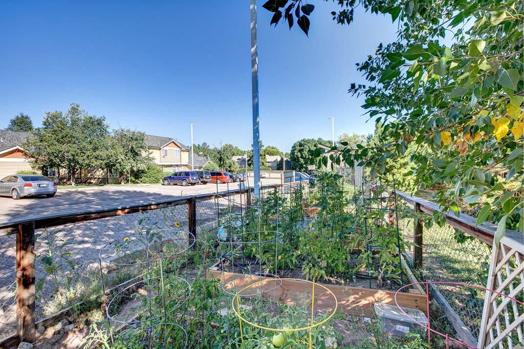 a garden with fruit trees and a fence and a parking lot