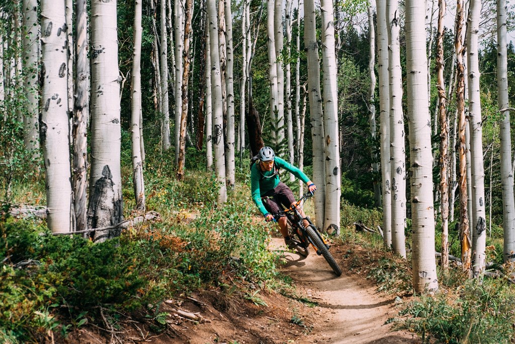 A person in a green jacket and white helmet is riding a bicycle on a trail in a forest of birch trees at The Avenue Lofts Golden Apartments, Golden, CO, 80401