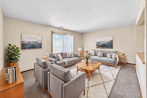 A living room with a grey couch, a coffee table, and a rug.