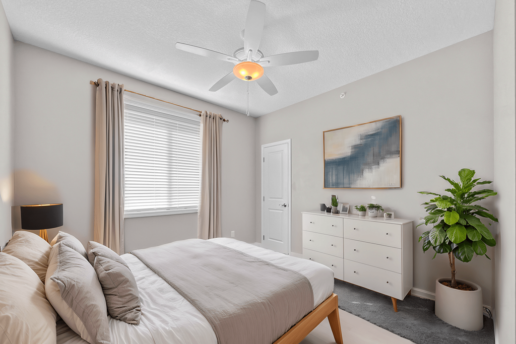 A bedroom with a bed, dresser, and plant.