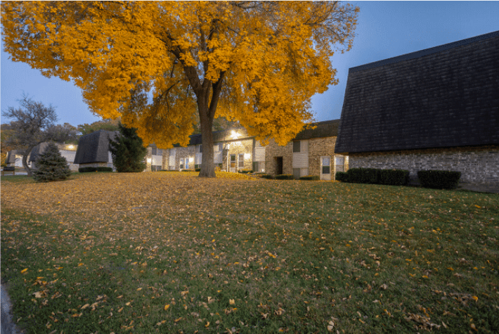 A tree with yellow leaves is in front of a building.