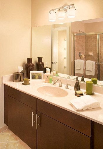 Luxurious Bathrooms Luxurious Bathrooms at Highland Park at Columbia Heights Metro, Washington, 20010 - Photo Gallery 5