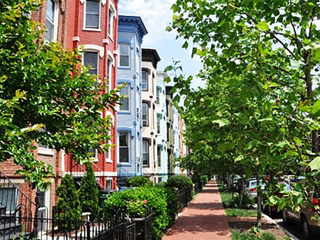 Tree Lined Streets at Highland Park at Columbia Heights Metro, Washington, 20010