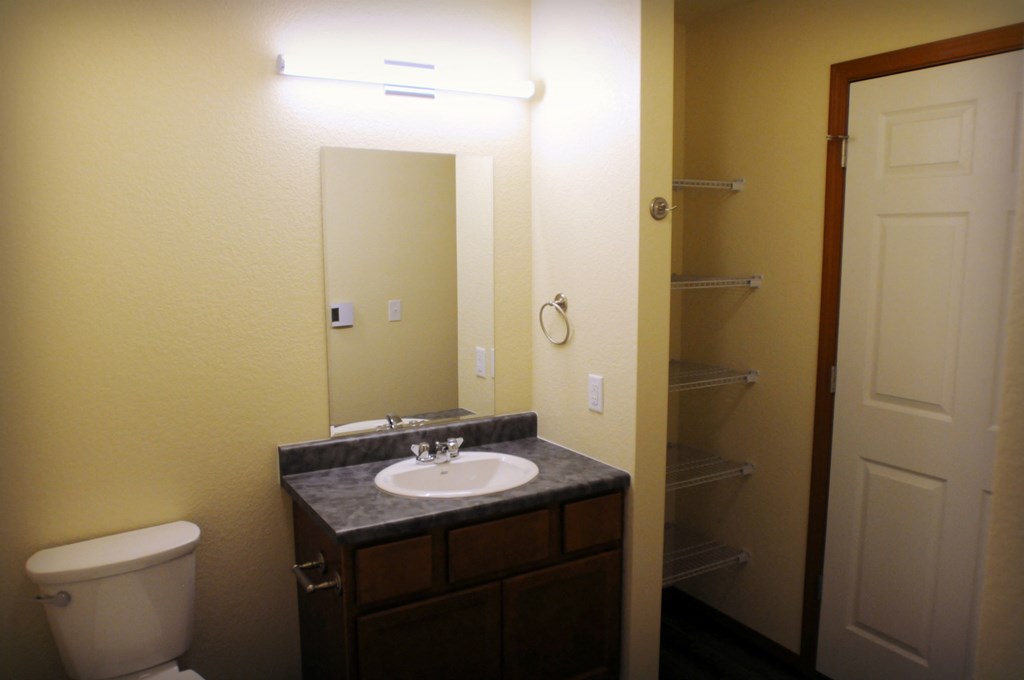 Image of bathroom sink, toilet and shelves