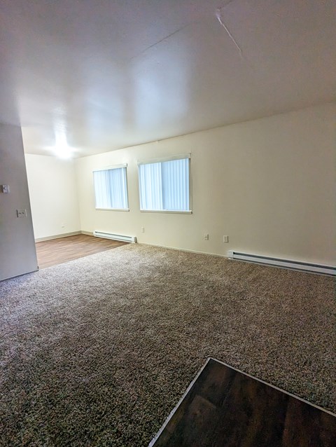 an empty living room with carpet and two windows