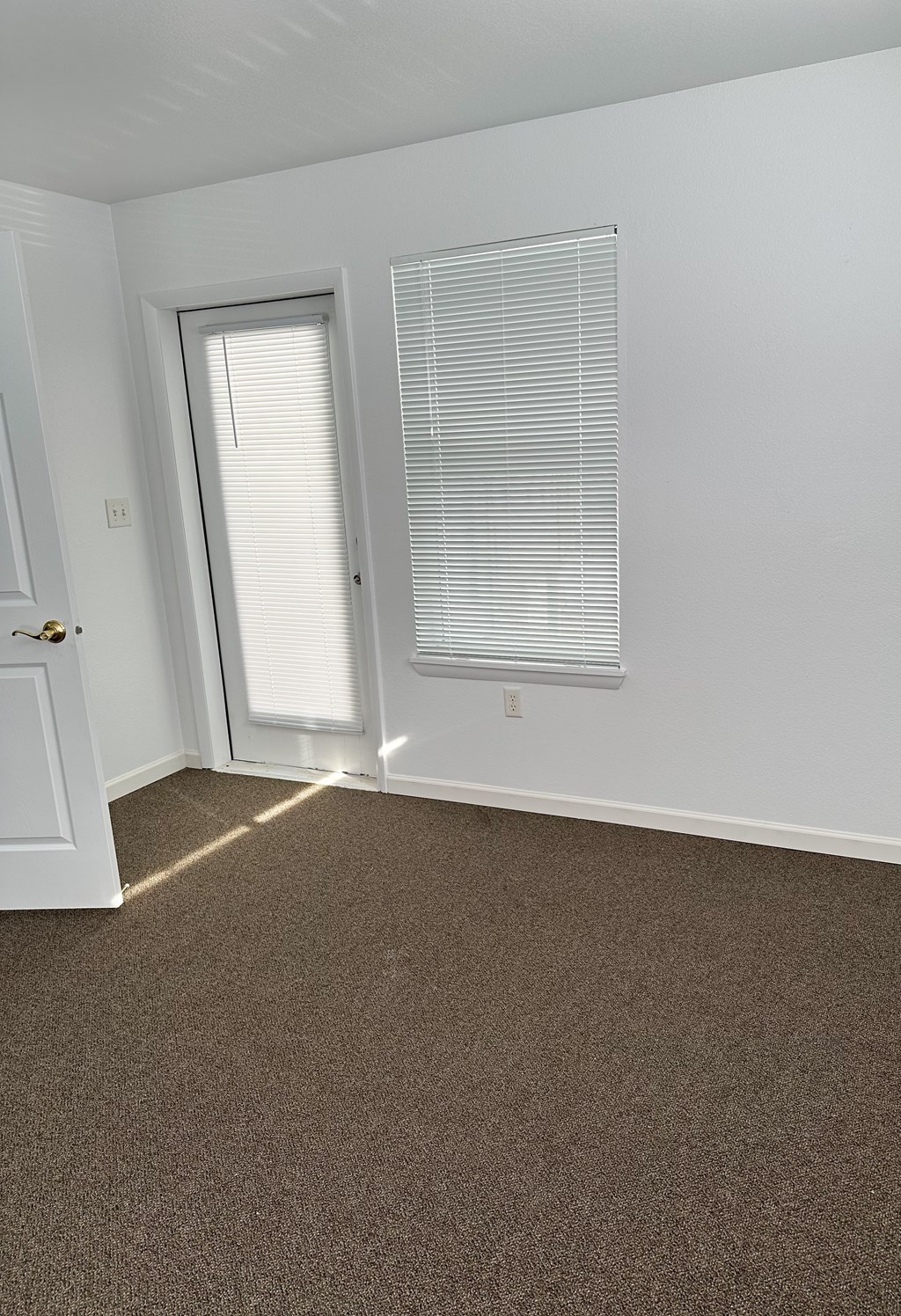 A room with a brown carpet and a white door.