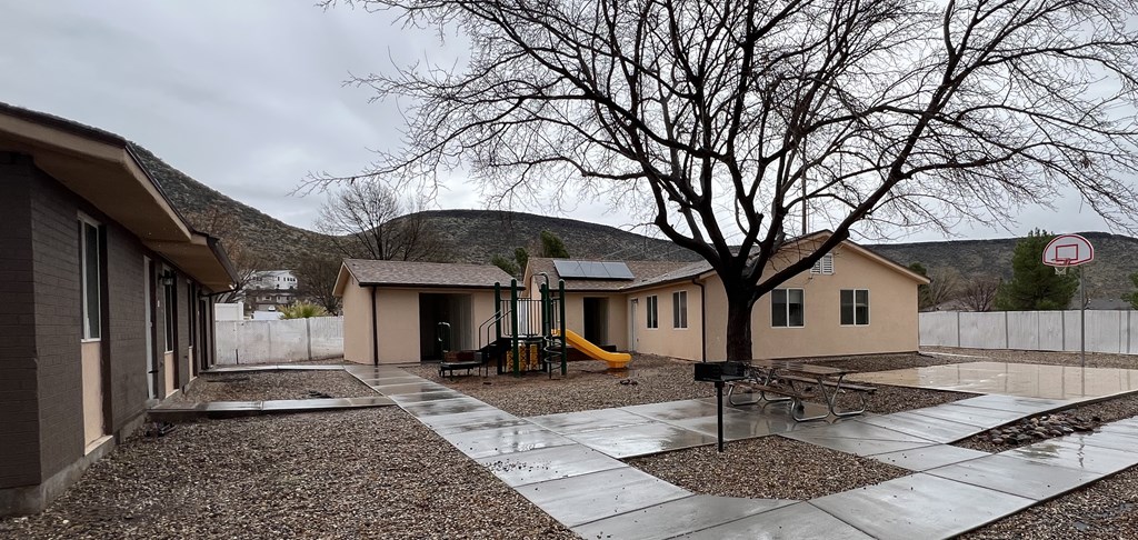 playground in front of units with a tree and basketball court