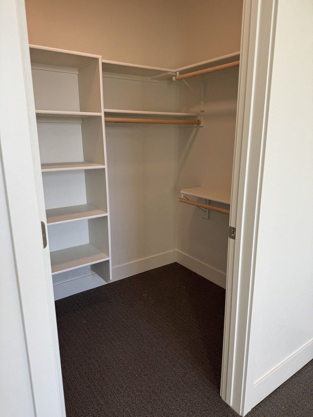 a walk in closet with shelves and carpet