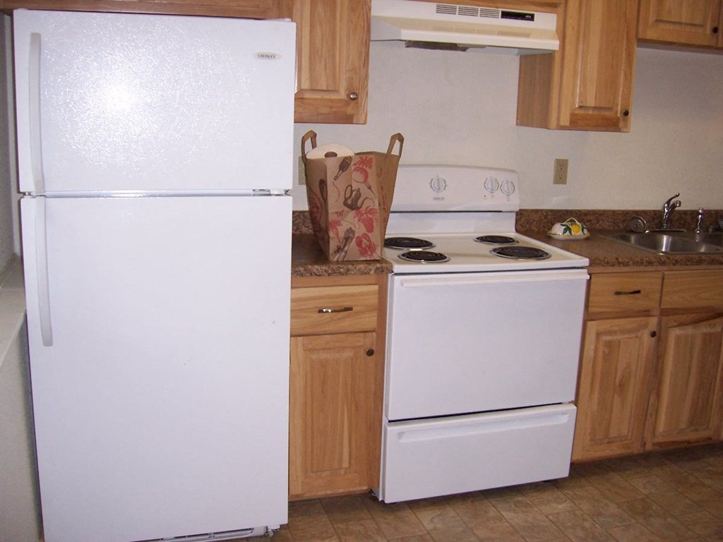Image of refrigerator, stove, range hood, and sink