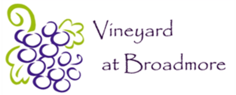the logo for vineyard at broadmore with a graphic of grapes and the words
