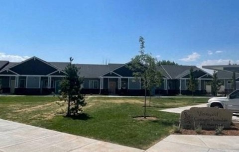 a row of houses with trees in the grass