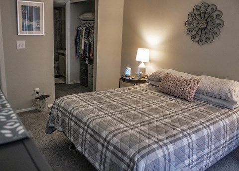 a bedroom with a bed and a closet