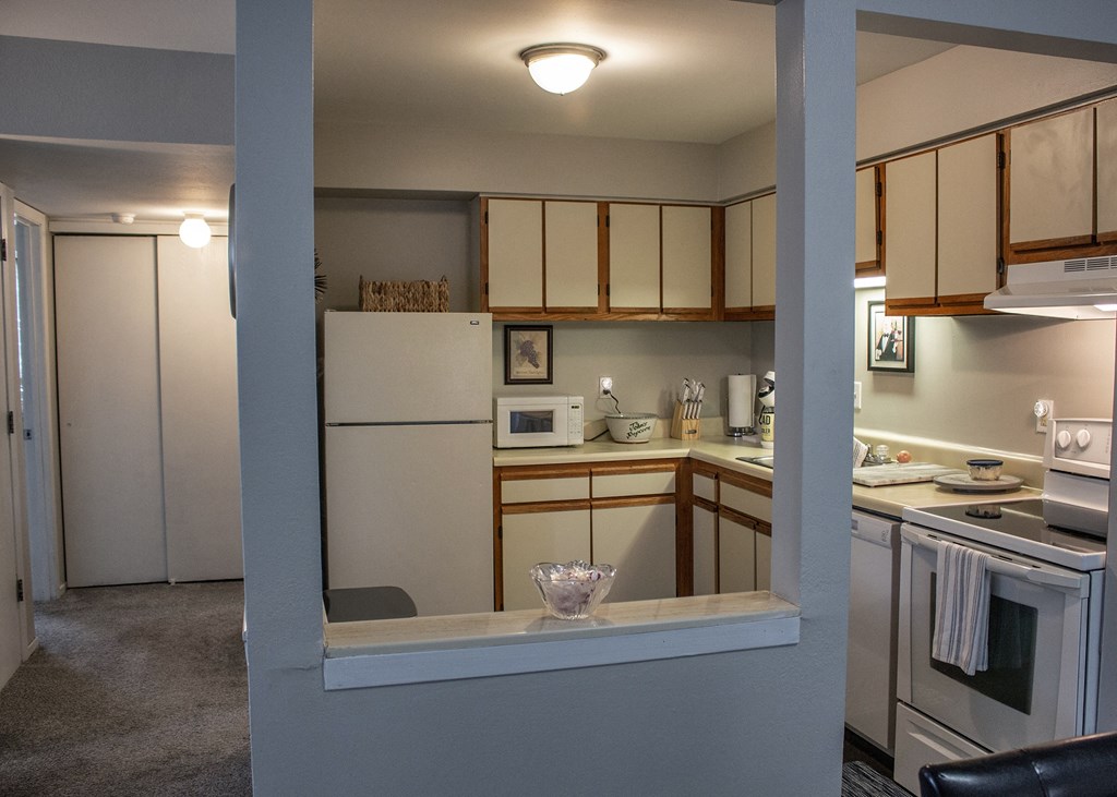 a view of a kitchen from a pass through window
