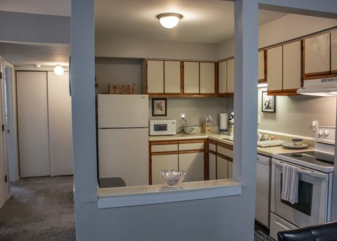 a view of a kitchen from a pass through window