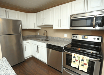 Efficient and Stainless Steel Appliances