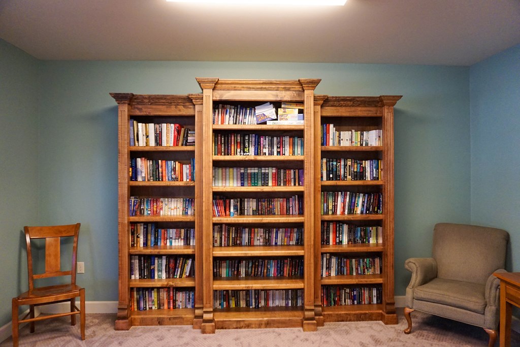 Library, books and games