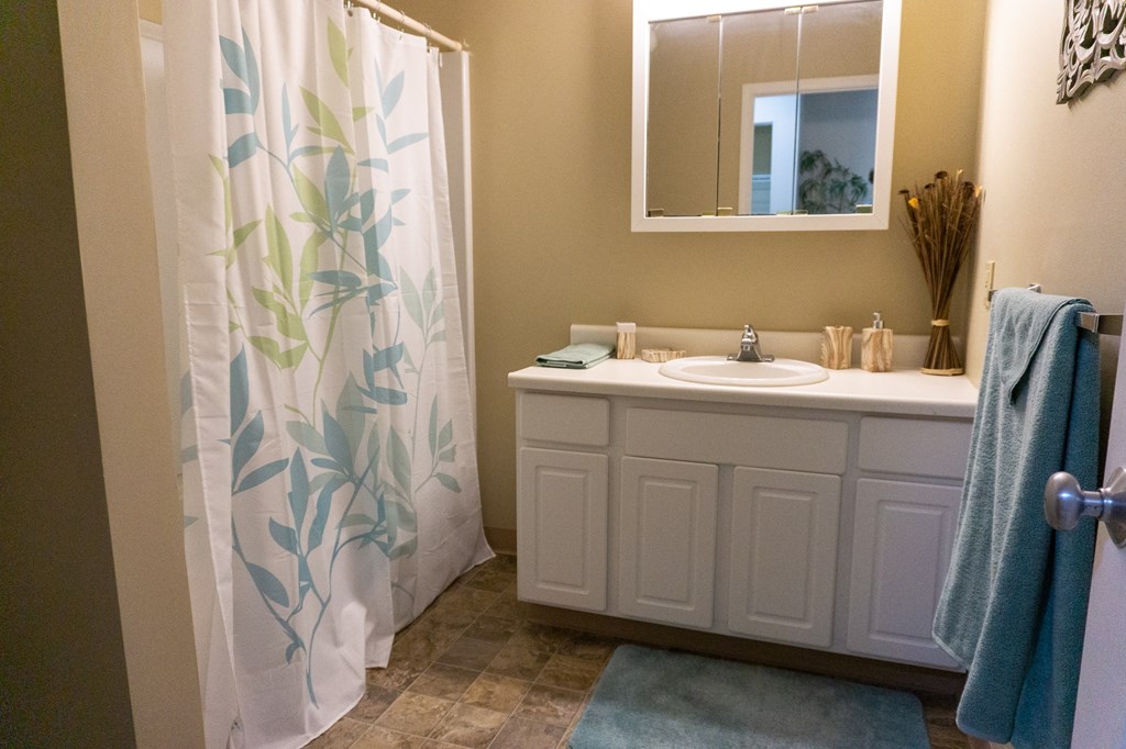 a bathroom with a shower and a sink