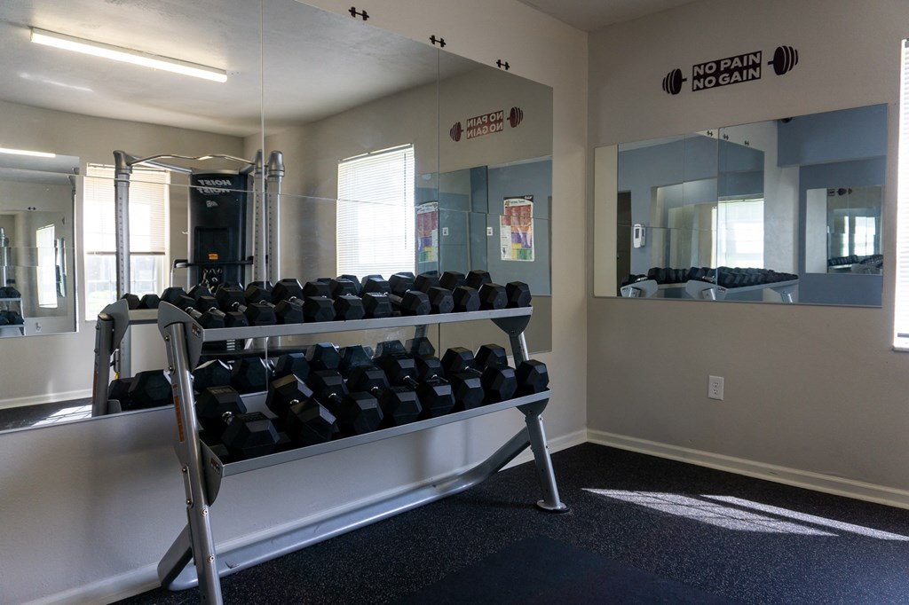 a treadmill and weights rack in the fitness room