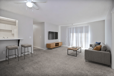 A living room with a grey carpet and furniture.
