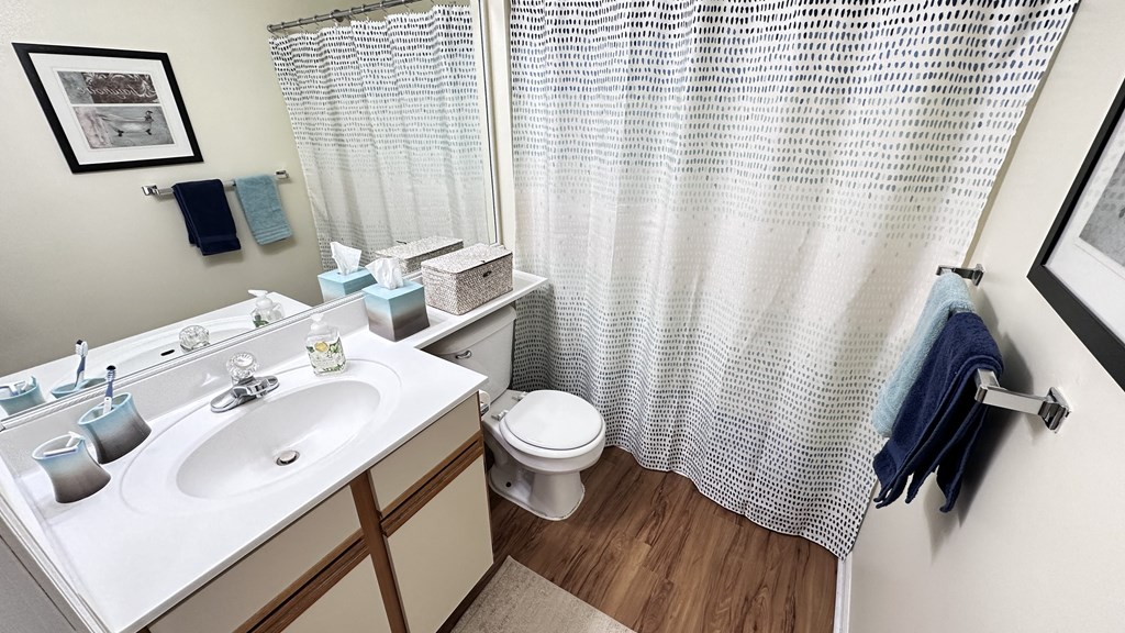 a bathroom with a sink and a toilet and a shower