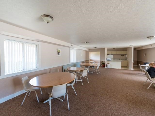 at Warren Woods, Michigan