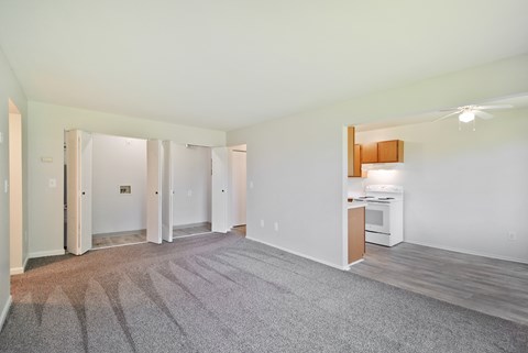 A spacious living room with a grey carpet and white walls.