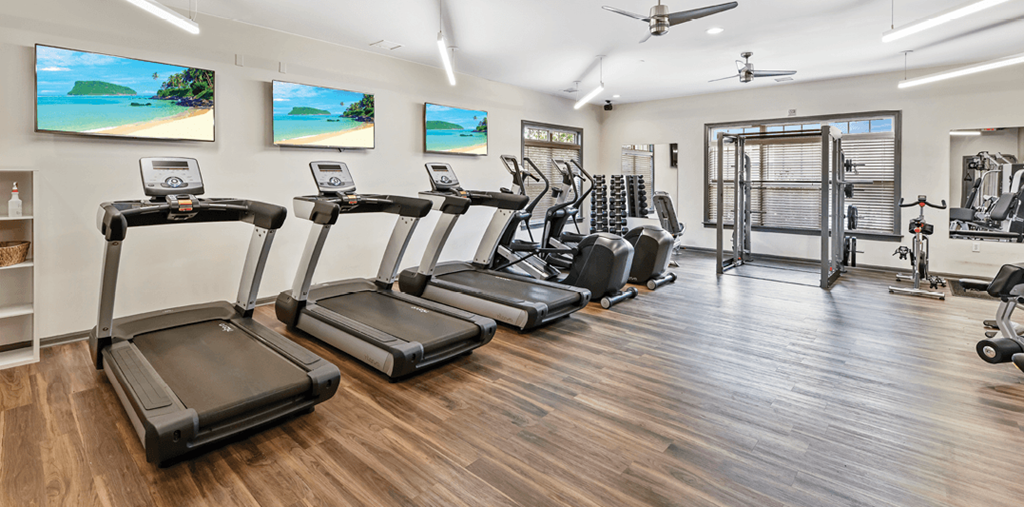 the gym is equipped with cardio equipment and weights