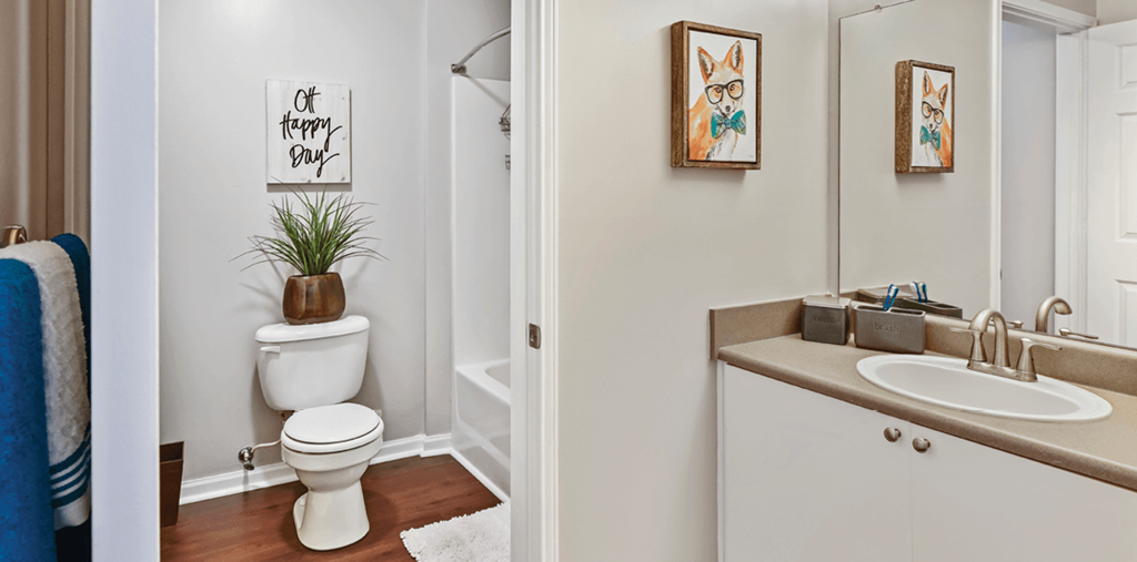 a bathroom with a toilet and a sink and a mirror