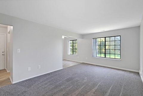 A large, empty room with a carpeted floor and two windows.