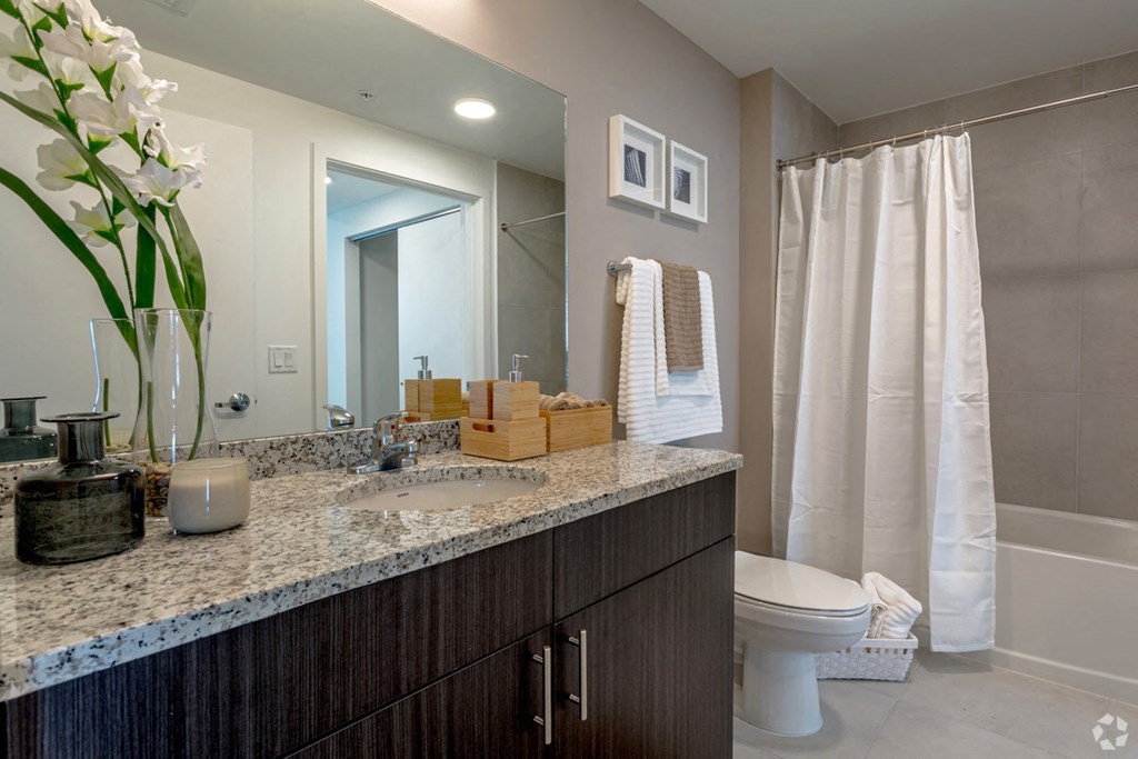 a bathroom with a sink and a toilet and a mirror
