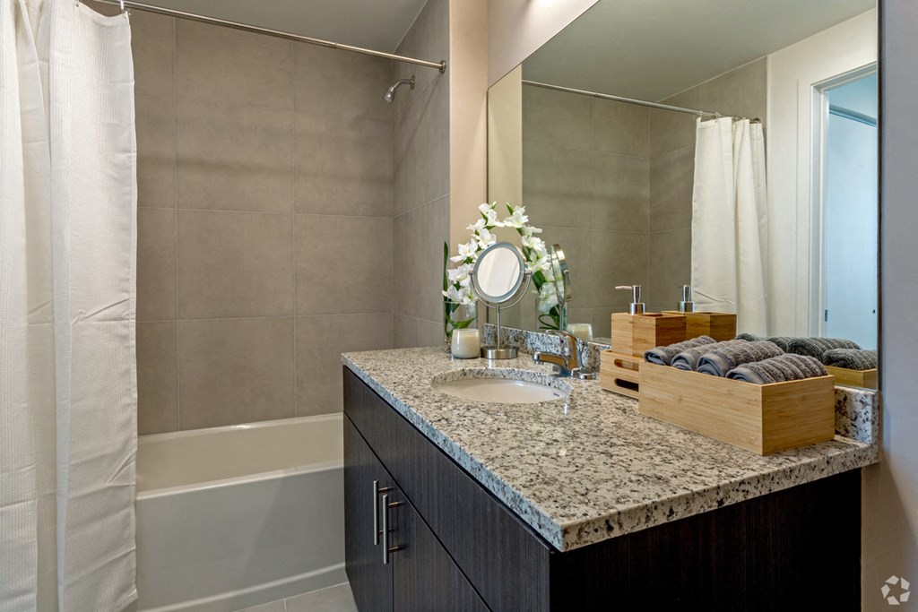 a bathroom with a sink and a mirror and a shower